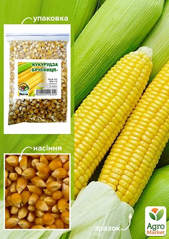 Кукурудза цукрова "Брусниця" ТМ "Весна" 500г