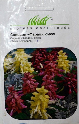 Сальвия "Фарао" смесь ТМ "Hem Zaden" 0,1г