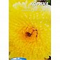 Астра "Корина" ТМ "Весна" 0.2г купить