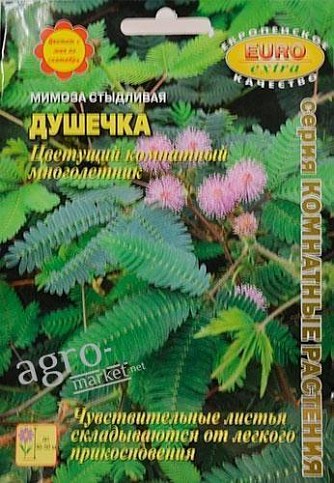 Мимоза стыдливая "Душечка" ТМ "АЭЛИТА" 0.05г