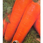 Морковь "Тип-Топ" (Большой пакет) ТМ "Весна" 7г купить