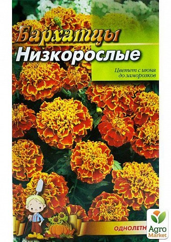 Бархатцы "Низкорослые красные" (Большой пакет) ТМ "Весна" 2г - фото 2
