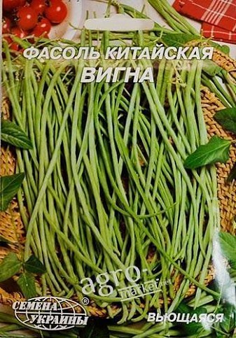 Квасоля китайська "Вигна" ТМ "Насіння України" 10г