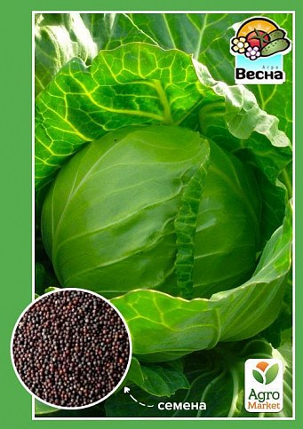 Капуста среднепоздняя "Брауншвейская" ТМ "Весна"  0.5г
