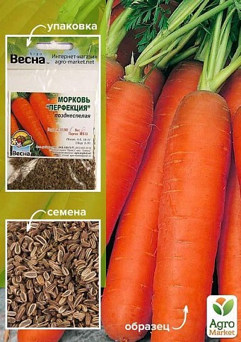 Морковь "Перфекция" (Зипер) ТМ "Весна" 5г