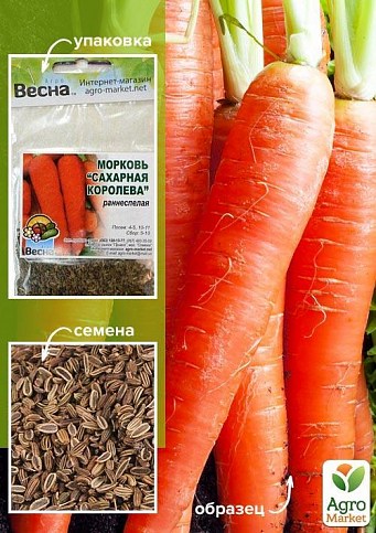 Морковь "Сахарная королева" (Зипер) ТМ "Весна" 5г