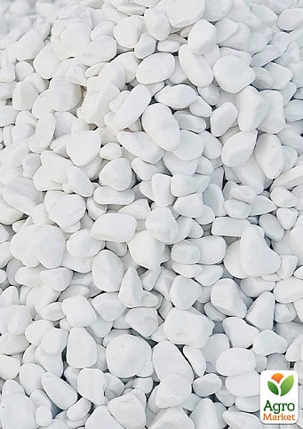 Декоративные камни Галька белая "Доломит" фракция 20-30 мм 2,5 кг