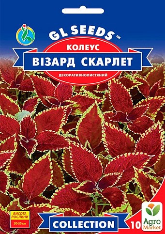 Колеус "Визард Скарлет" ТМ "GL Seeds" 10шт