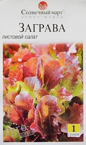 Салат листовий "Заграва" ТМ "Сонячний березень" 1г