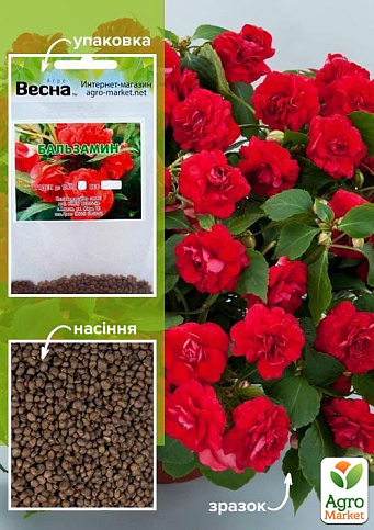 Бальзамин махровый красный (Зипер) ТМ "Весна" 1г