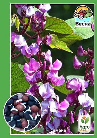 Долихос "Вьющаяся сирень" ТМ "Весна" 5шт