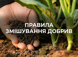 Правила змішування добрив для рослин | Agro-market