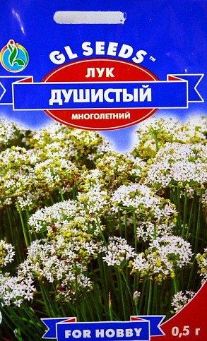 Цибуля багаторічний "Запашний" ТМ "GL SEEDS" 0.5г