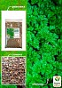 Петрушка кучерявая "Парамоунт" ТМ "Весна" 100г