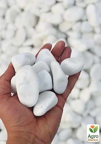 Декоративне каміння Галька біла "Доломіт" фракція 20-30 мм 2,5 кг - фото 2