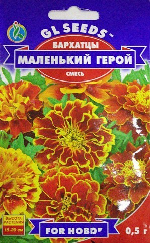 Чорнобривці "Маленький герой" ТМ "GL SEEDS" 0.5г
