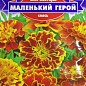 Бархатцы "Маленький герой" ТМ "GL SEEDS" 0.5г