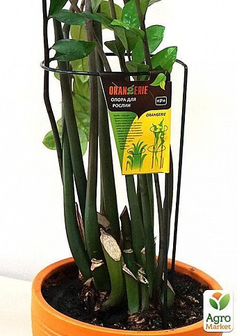 Опора для растений ТМ "ORANGERIE" тип P (зеленый цвет, высота 400 мм, кольцо 180 мм, диаметр проволки 4 мм) - фото 3