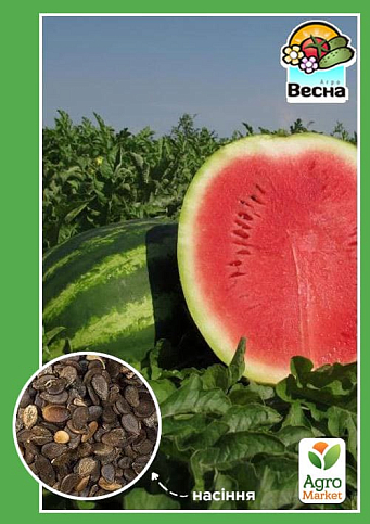 Кавун "Княжич" ТМ "Весна" 1.5г