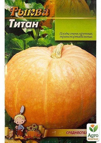 Тыква "Титан" (Большой пакет) ТМ "Весна" 8г - фото 2