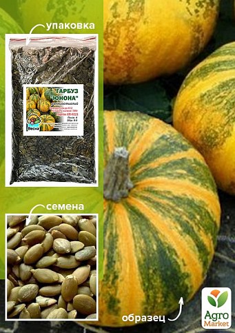 Тыква "Юнона" ТМ "Весна" 500г
