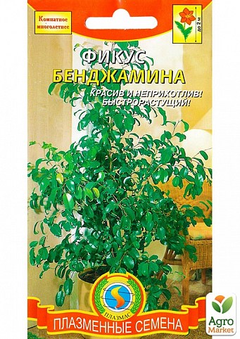 Фикус "Бенджамина" ТМ "Плазменные семена" 3шт NEW