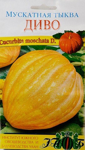 Тыква "Диво" ТМ "Солнечный март" 30шт