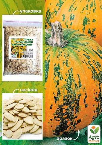 Тыква "Украинская многоплодная" ТМ "Весна" 500г
