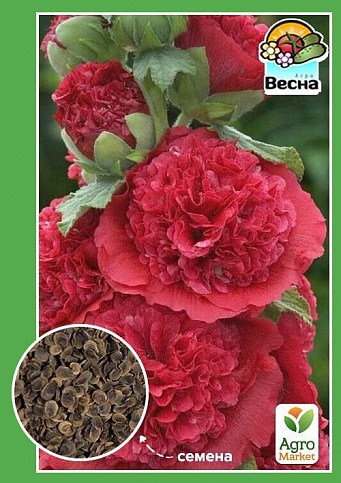 Мальва махровая Красная ТМ "Весна" 0.2г