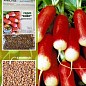 Редис "Киви" (Зипер) ТМ "Весна" 7г