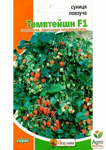 Земляника "Темтейшн F1" ТМ "Яскрава" 0.01г