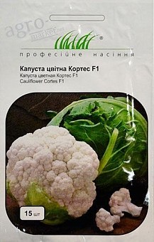 СЕМЕНА ЦВЕТНОЙ КАПУСТЫ: купить семена цветной капусты почтой в Киеве ...