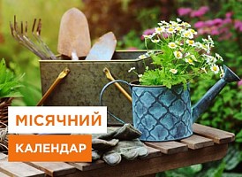 Місячний посівний календар на липень - Agro-Market