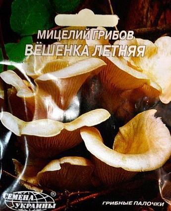 Вёшенка "Летняя" ТМ "Семена Украины" 10шт