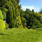 Газонная травосмесь "Английский сад" ТМ "Семейный сад" 400г купить