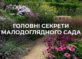 Сад з мінімальним доглядом | Agro-market