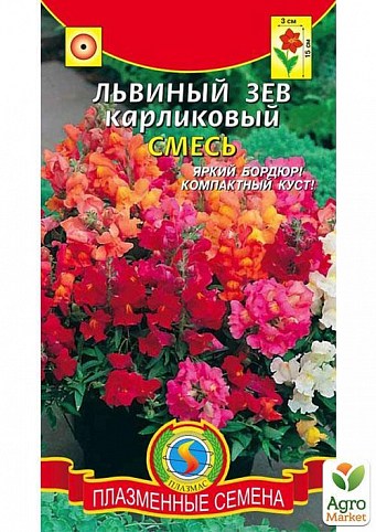 Львиный зев "Карликовый смесь" ТМ "Плазменные семена" 0,2г