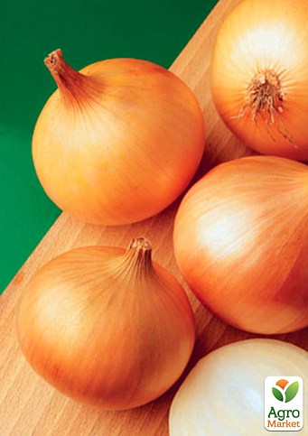 Лук "Халцедон" (Зипер) ТМ "Весна" 3г - фото 2