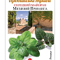 Майоран "Местный Прованса" ТМ "Солнечный март" 2500шт.