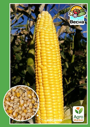 Кукуруза "Сахарная" ТМ "Весна" 10г