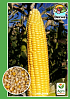 Кукуруза "Сахарная" ТМ "Весна" 10г