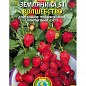 Суниця "Чари" ТМ "Плазмові насіння" 10шт