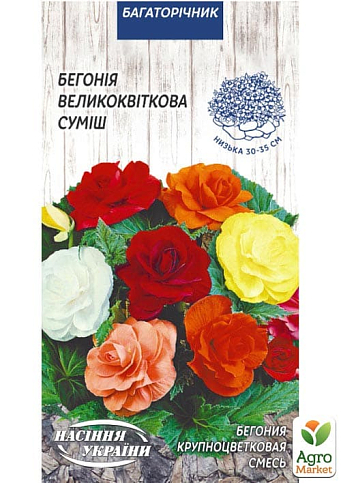Бегония крупноцветковая "Смесь" ТМ "Семена Украины" 10шт