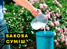 Бакові суміші для обробки саду - корисні статті про садівництво від Agro-Market