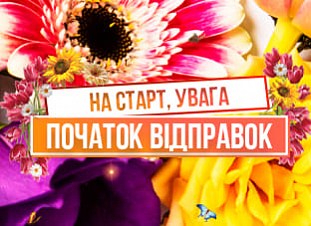 Відправляємо Ваші рослинки! 