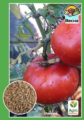Томат "Донецкий " ТМ "Весна" 0.2г
