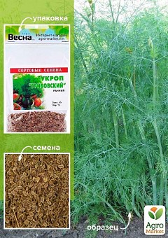 СЕМЕНА УКРОПА: купить семена укропа почтой в Киеве, Одессе и Украине ...