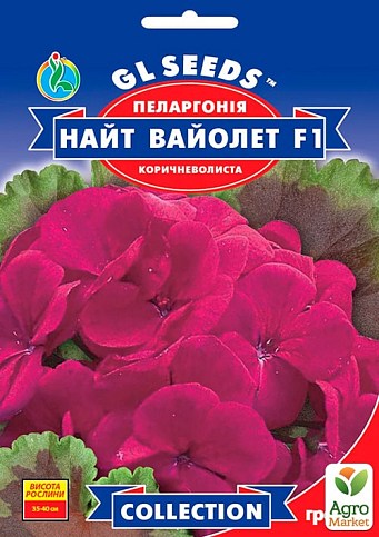 Пеларгония "Найт Вайолет F1" ТМ "GL SEEDS" 5шт