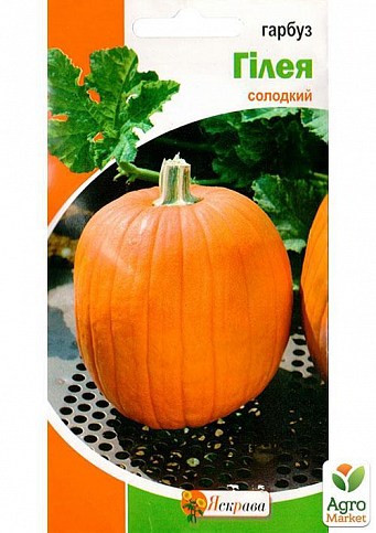 Тыква "Гилея" ТМ "Яскрава" 5г