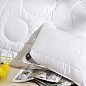 Одеяло зимнее Air Dream Exclusive двойное 175*210 см 8-11767 цена